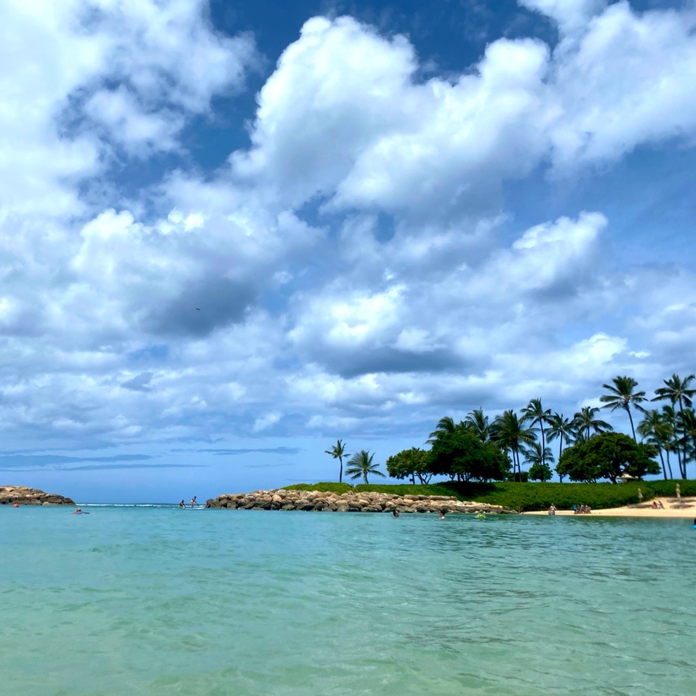 Meet your Posher, Krissi